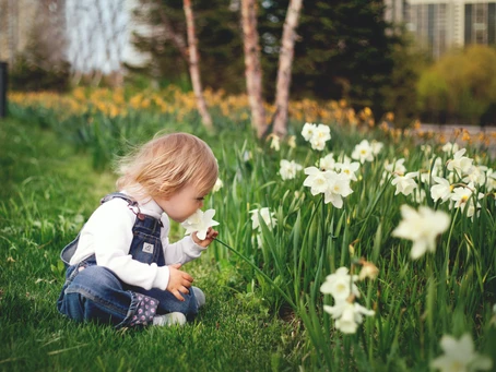 Dia da Criança celebrando a primavera: confira atividades para descobrir a natureza